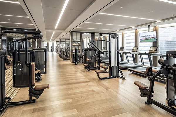 Scientia idoneitatem ducit et vitam sanam fruitur