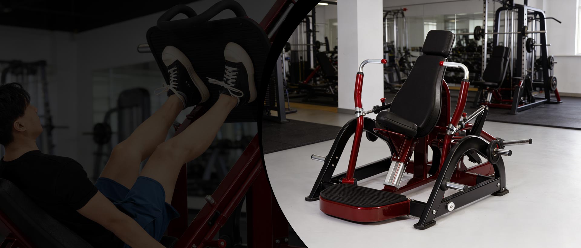 Sina virtus Lorem Machina Manufacturer