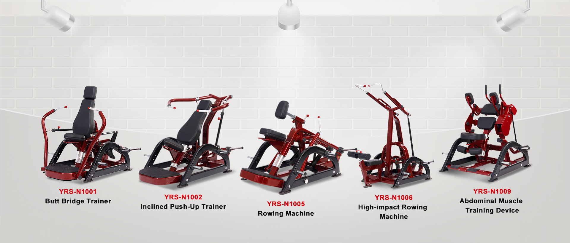 Fortitudo disciplina Machina