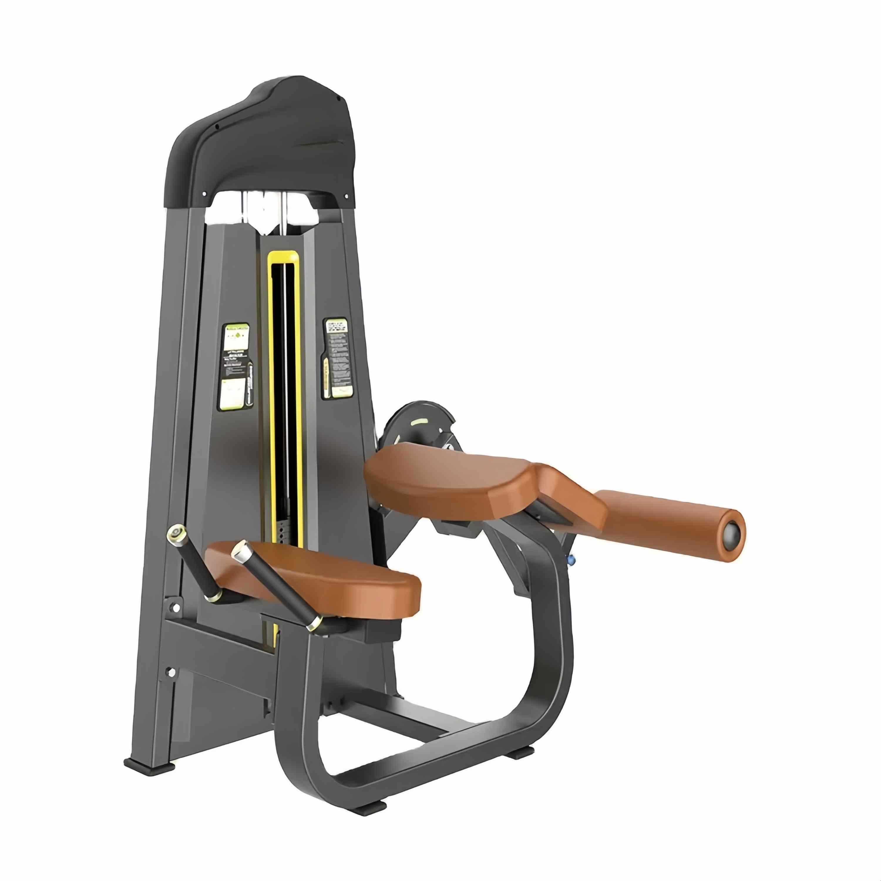 Back Extensio