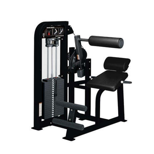 Back Extensio Equipment