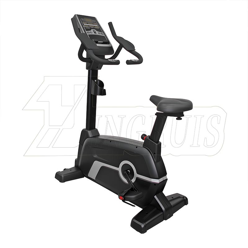 Commercial Rectus Exercise Bike
