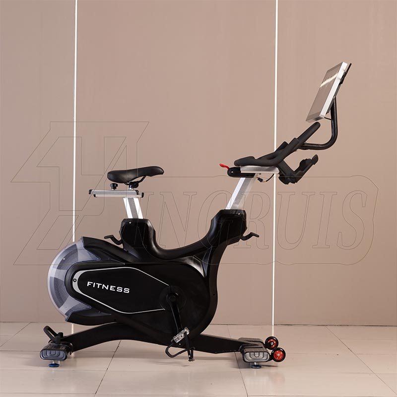 Magnetic Resistance Exercise Bike