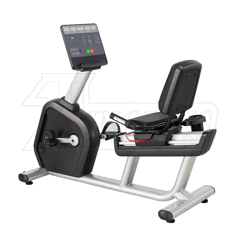 Recumbent Exercise Bike