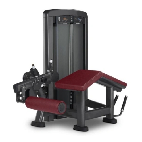 Mendacium Leg Curl Machina