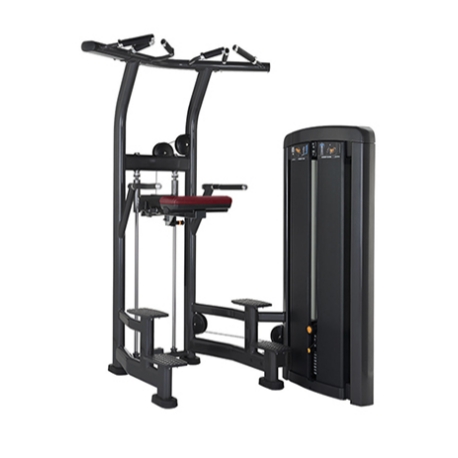 Sursum machina viverra-