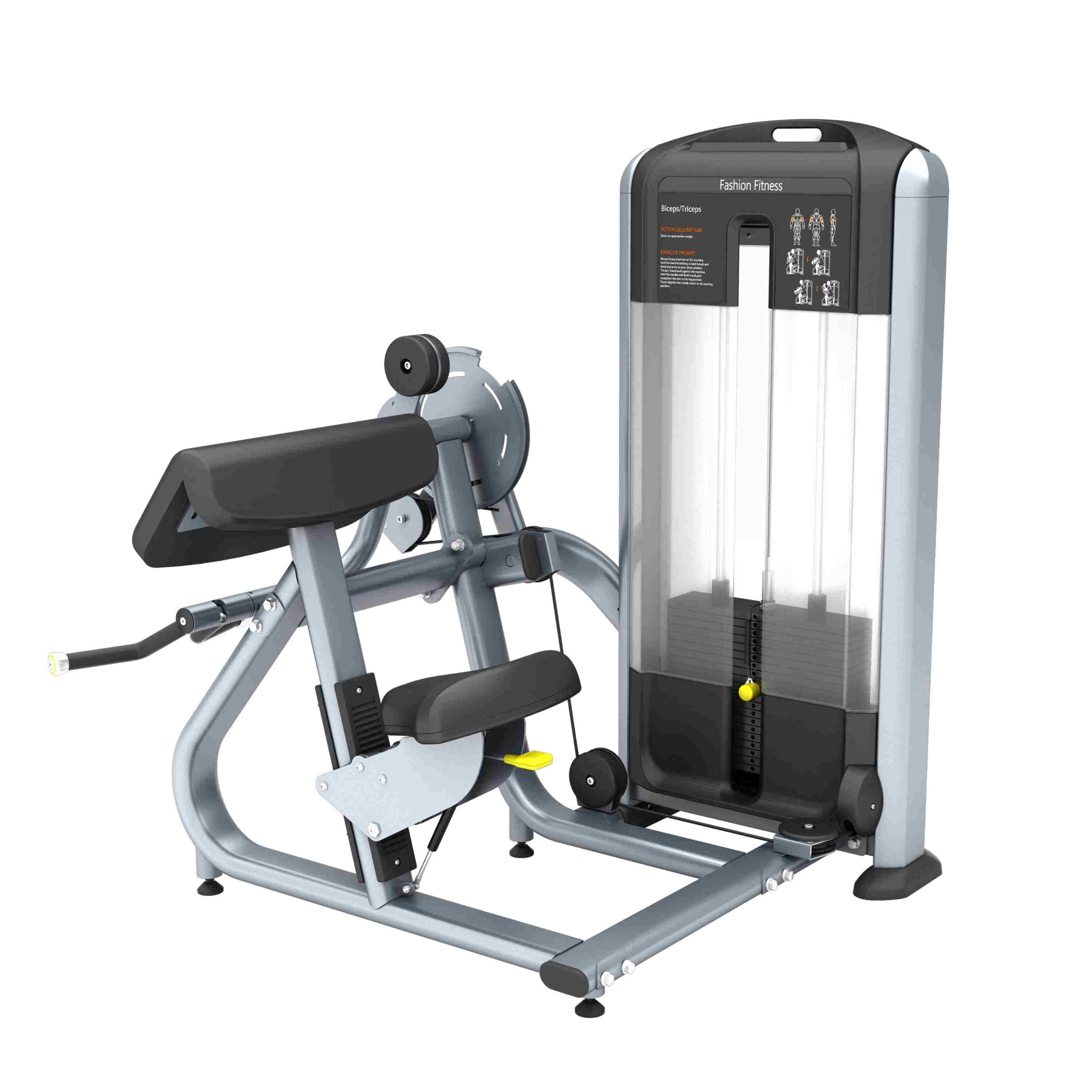 Sedet Biceps Curl Machina