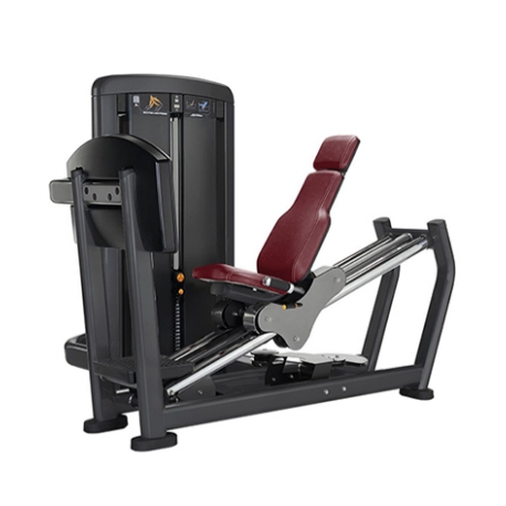 Sedet Leg Press Machina