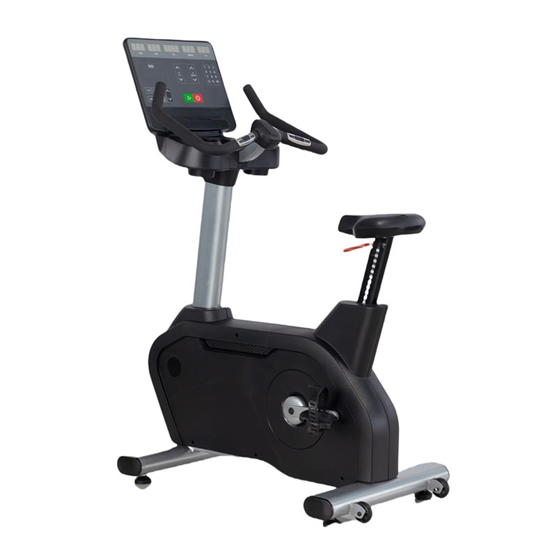 Rectus Exercise Bike